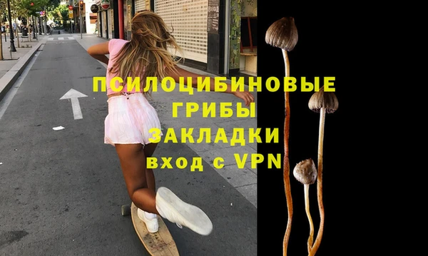 ПСИЛОЦИБИНОВЫЕ ГРИБЫ Ладушкин